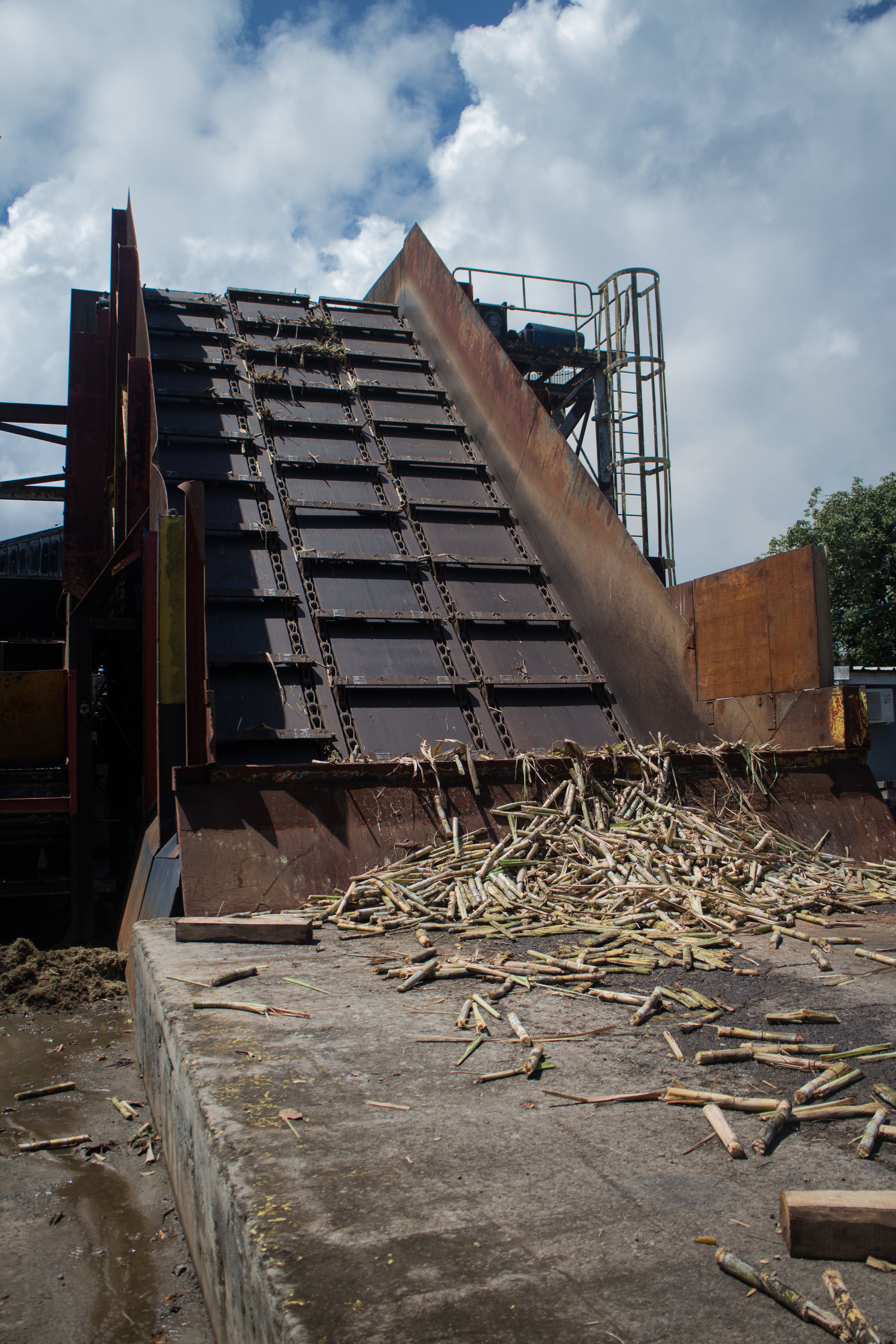 Cane crusher conveyance at rest