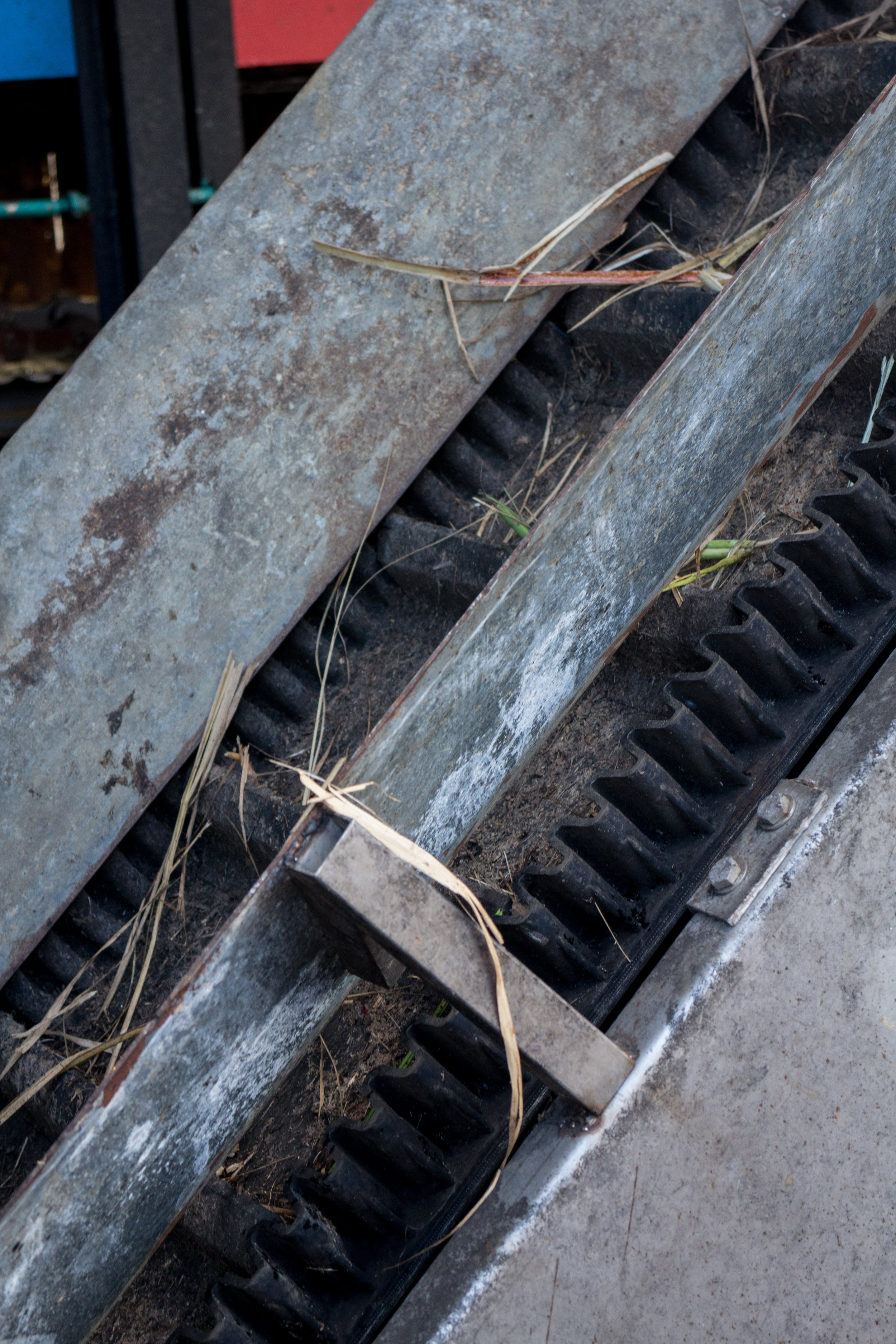 Cane crusher conveyance, detail.