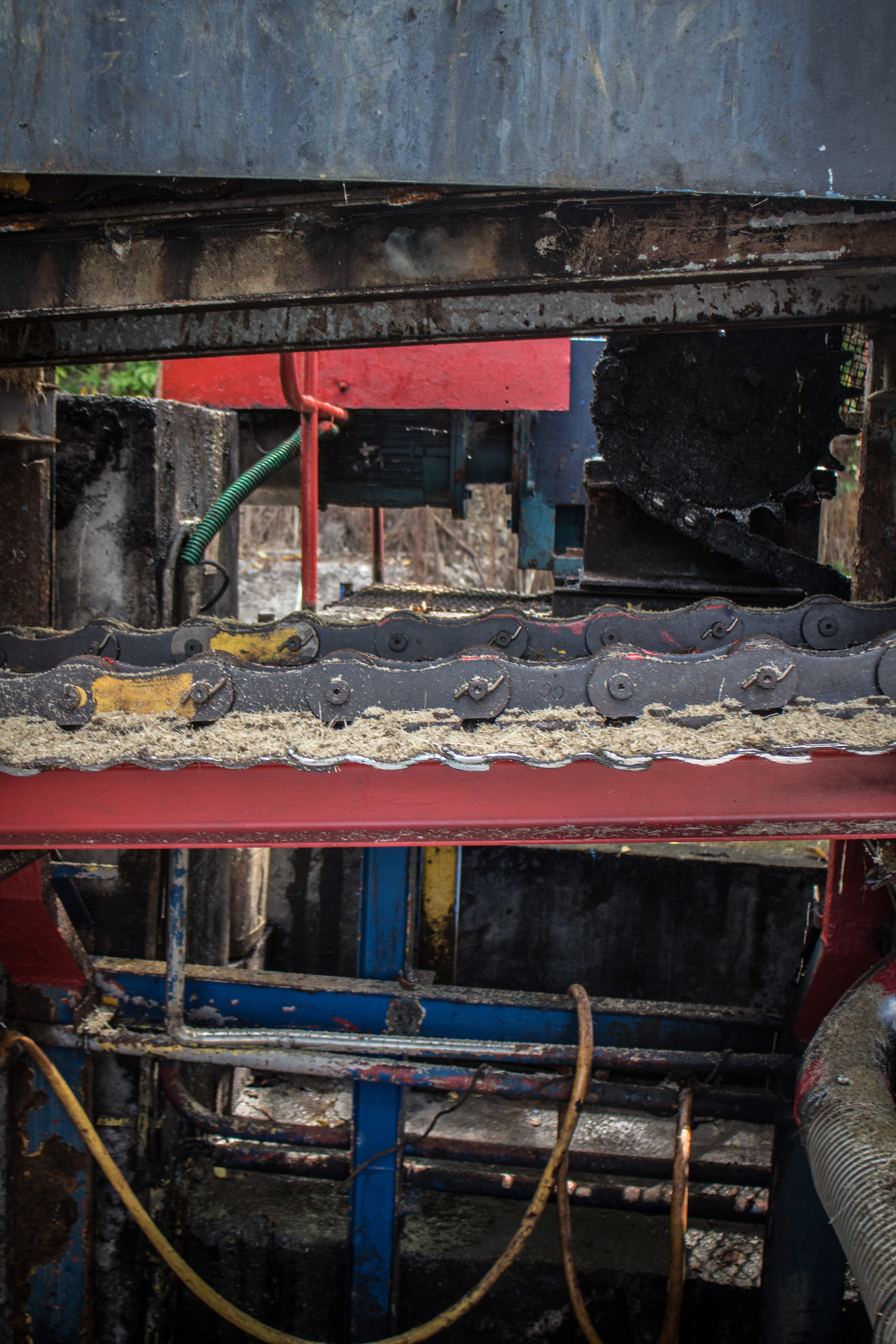 Cane Crusher at rest, with bagasse