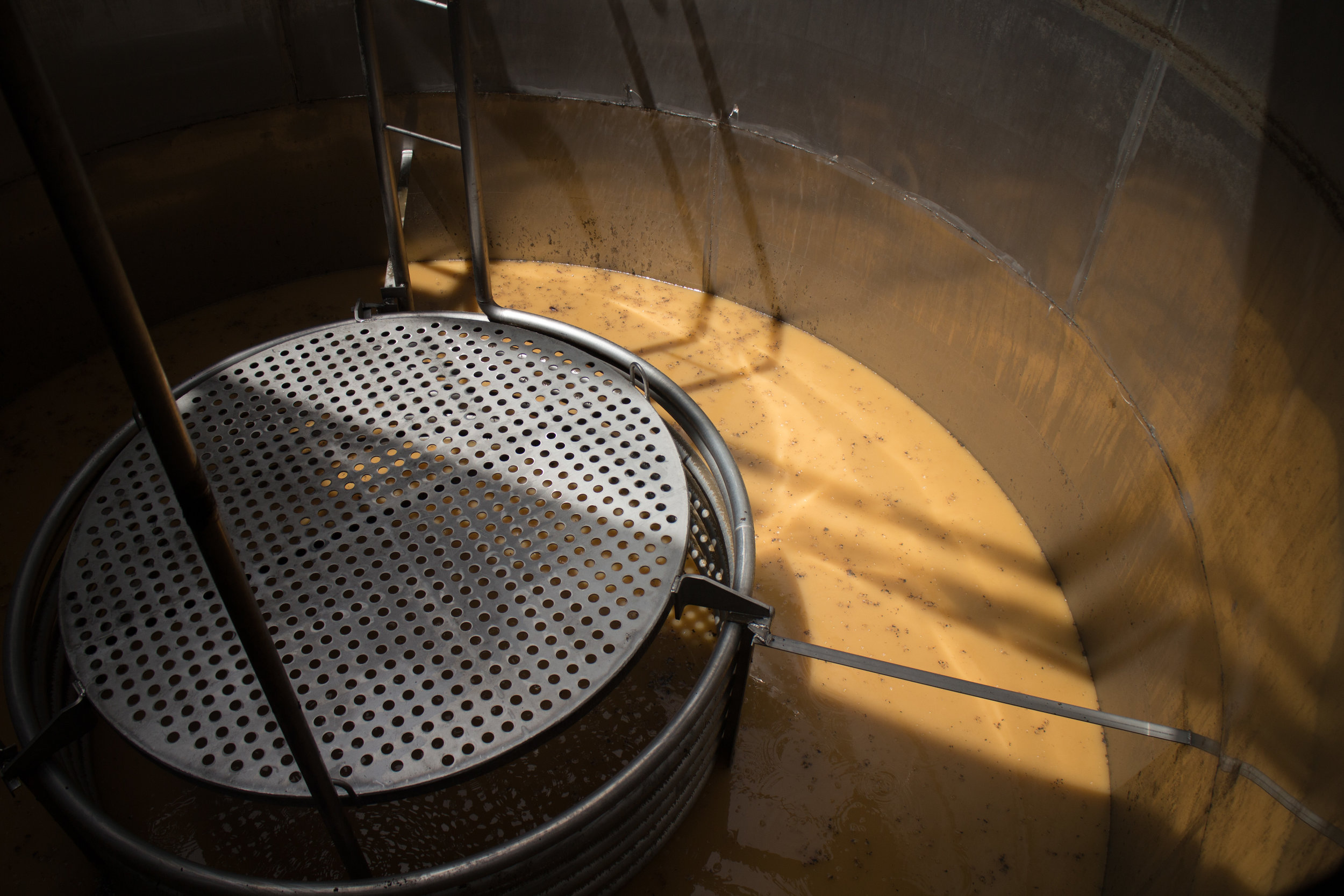 Sunlight on fermentation tank, with coils