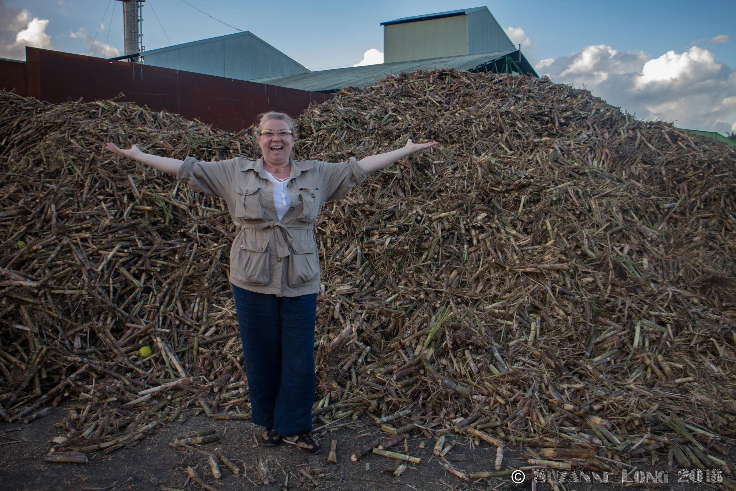 Suzanne Long in front of a towering heap of machine cut cane, Distillerie du Simon, March 2016.