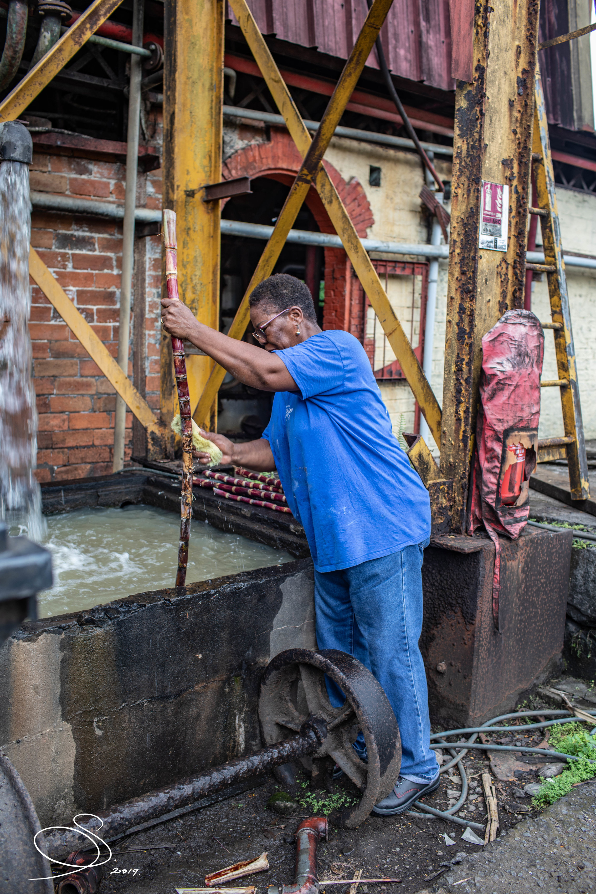 Washing cane
