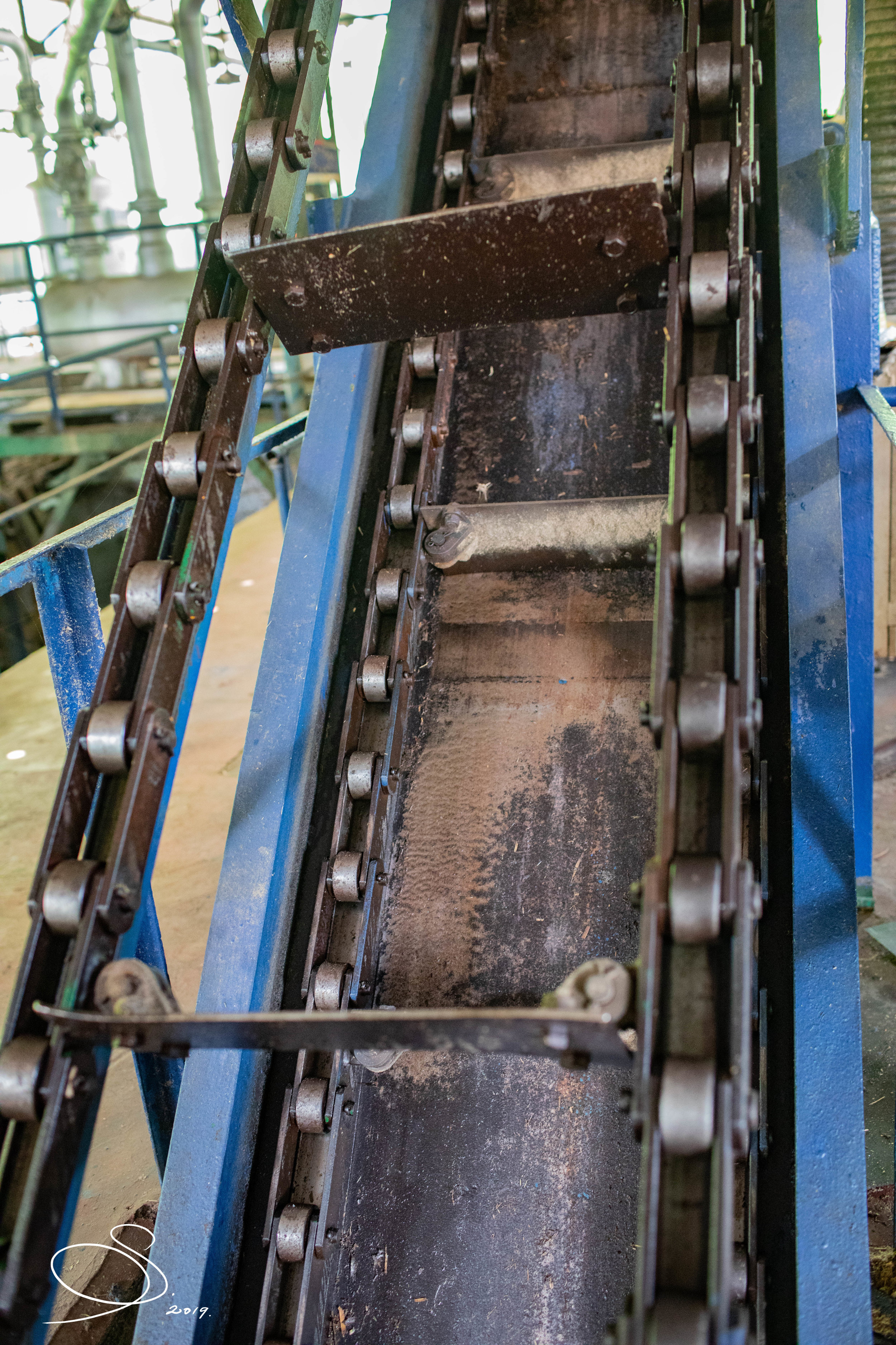 Cane Conveyor belt