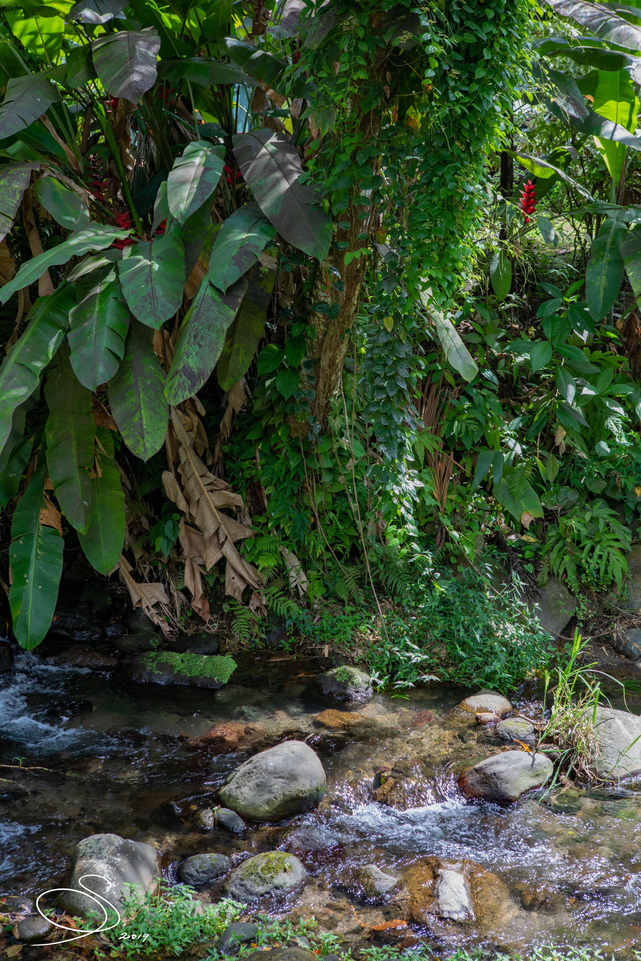 A tropical paradise at the foot of a volcano