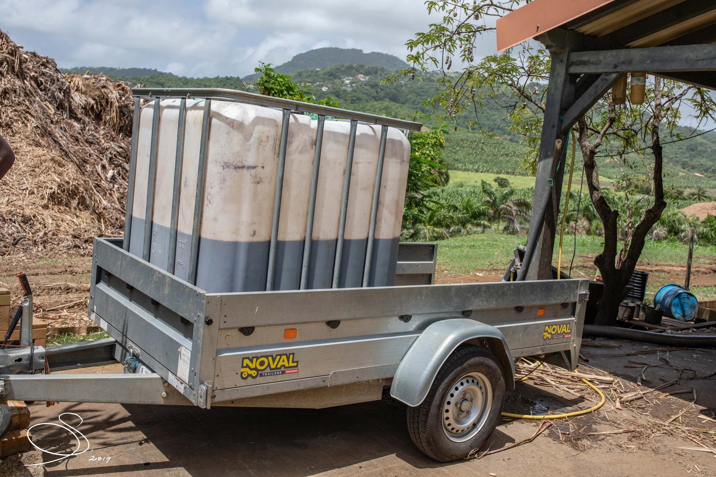 Trucking up the crushed cane juice to the fermentation area