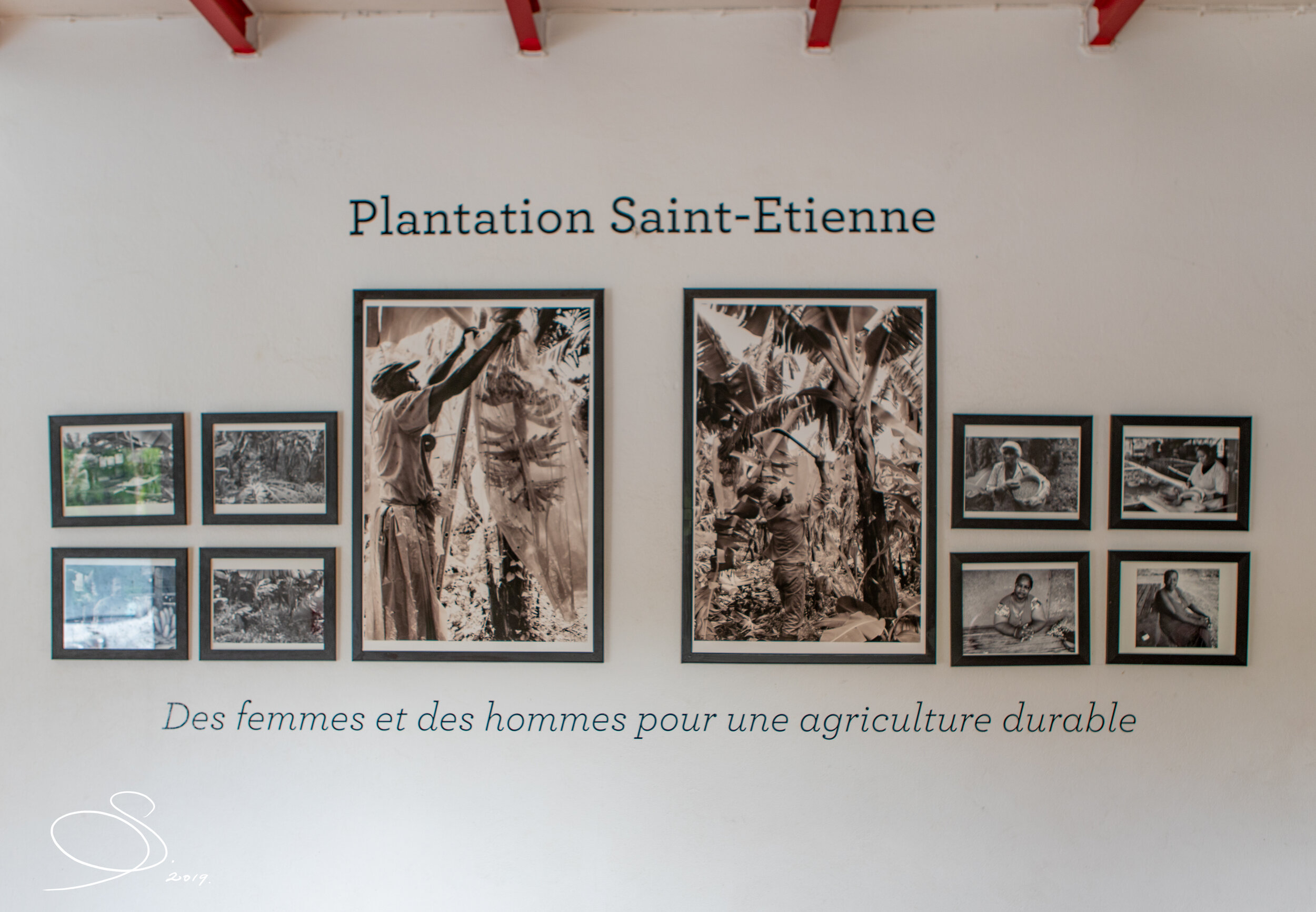 HSE2019 (7 of 24).jpg