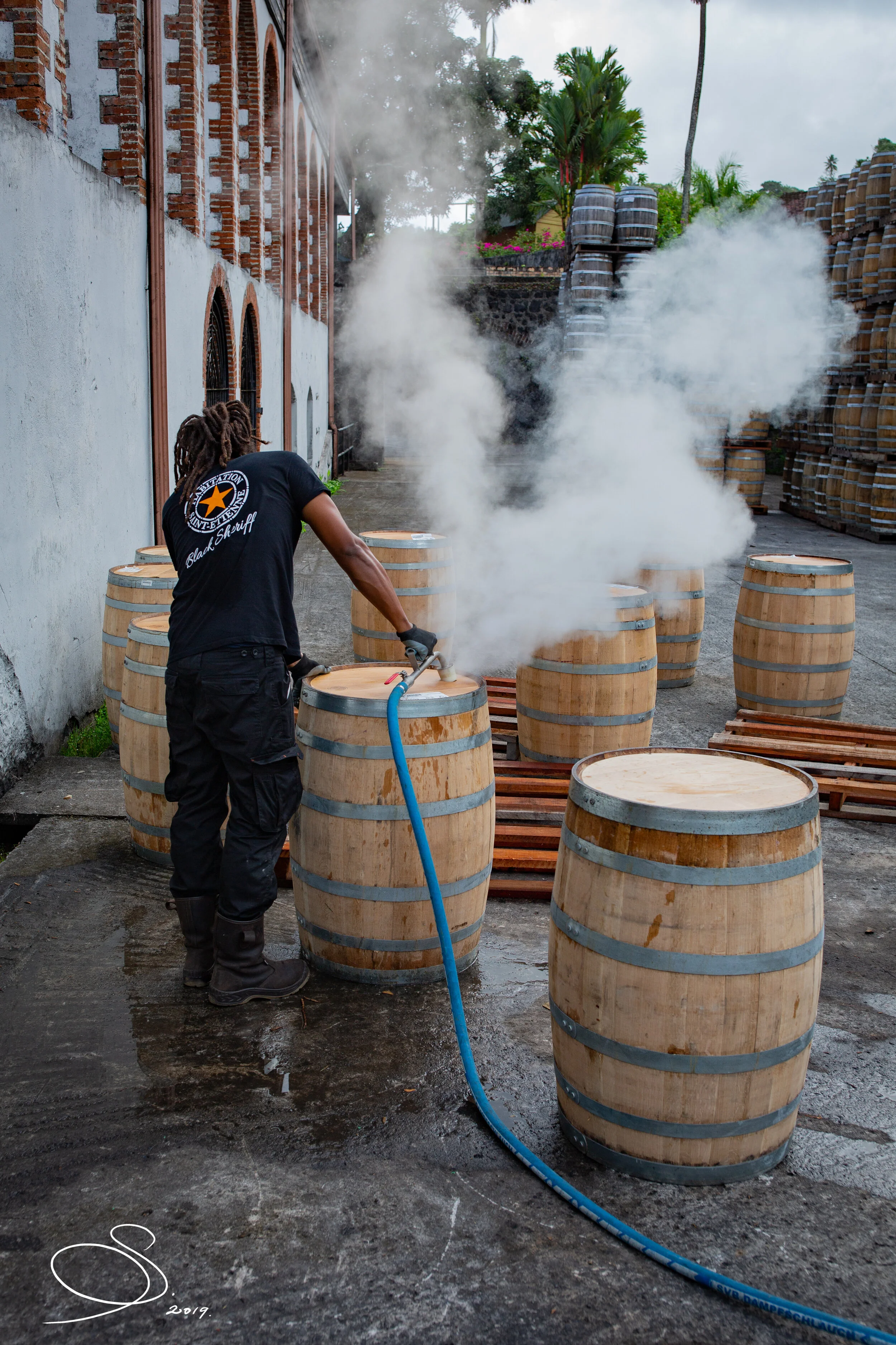 HSE2019 (9 of 27) - Copy.jpg