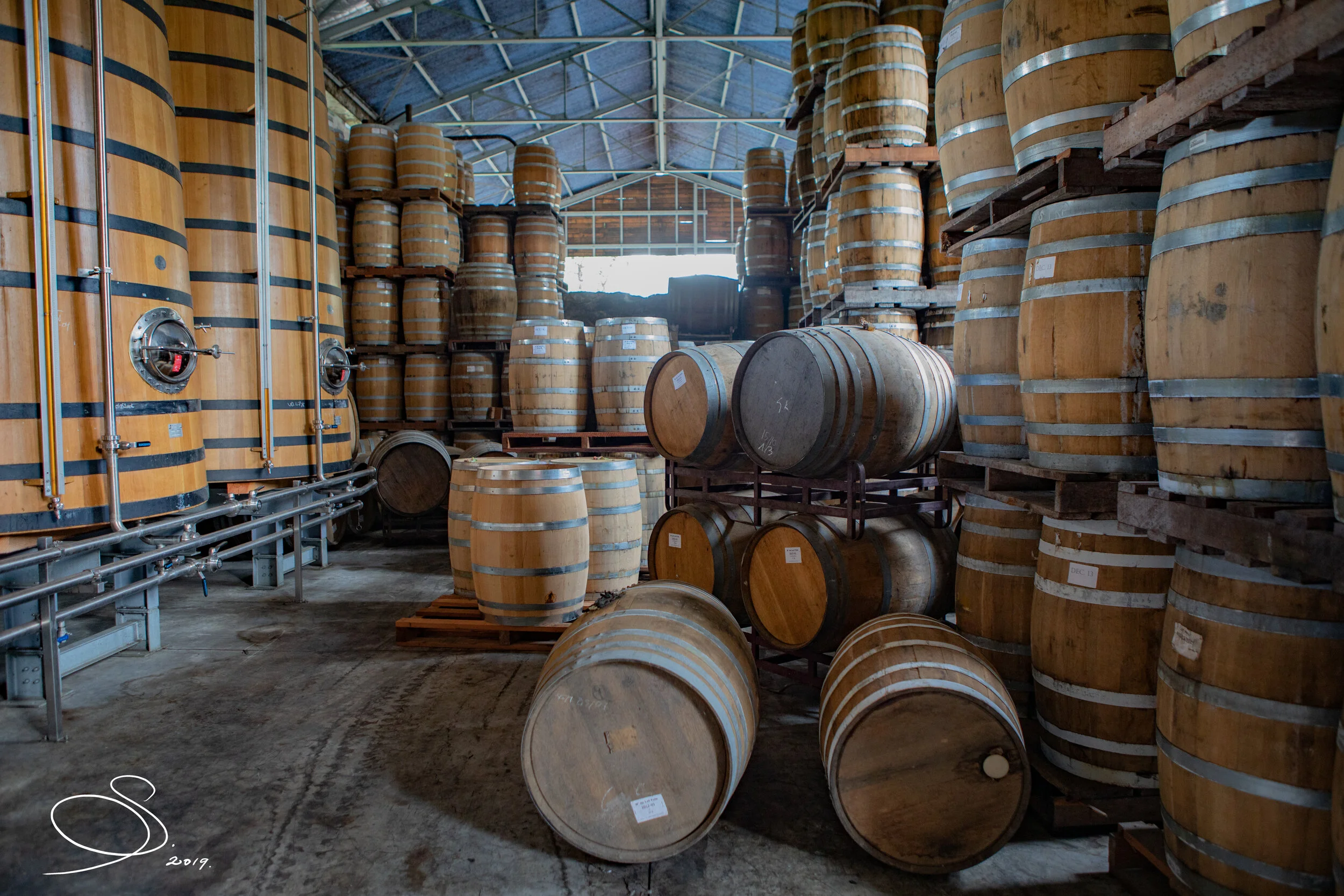 HSE2019 (11 of 24) - Copy.jpg