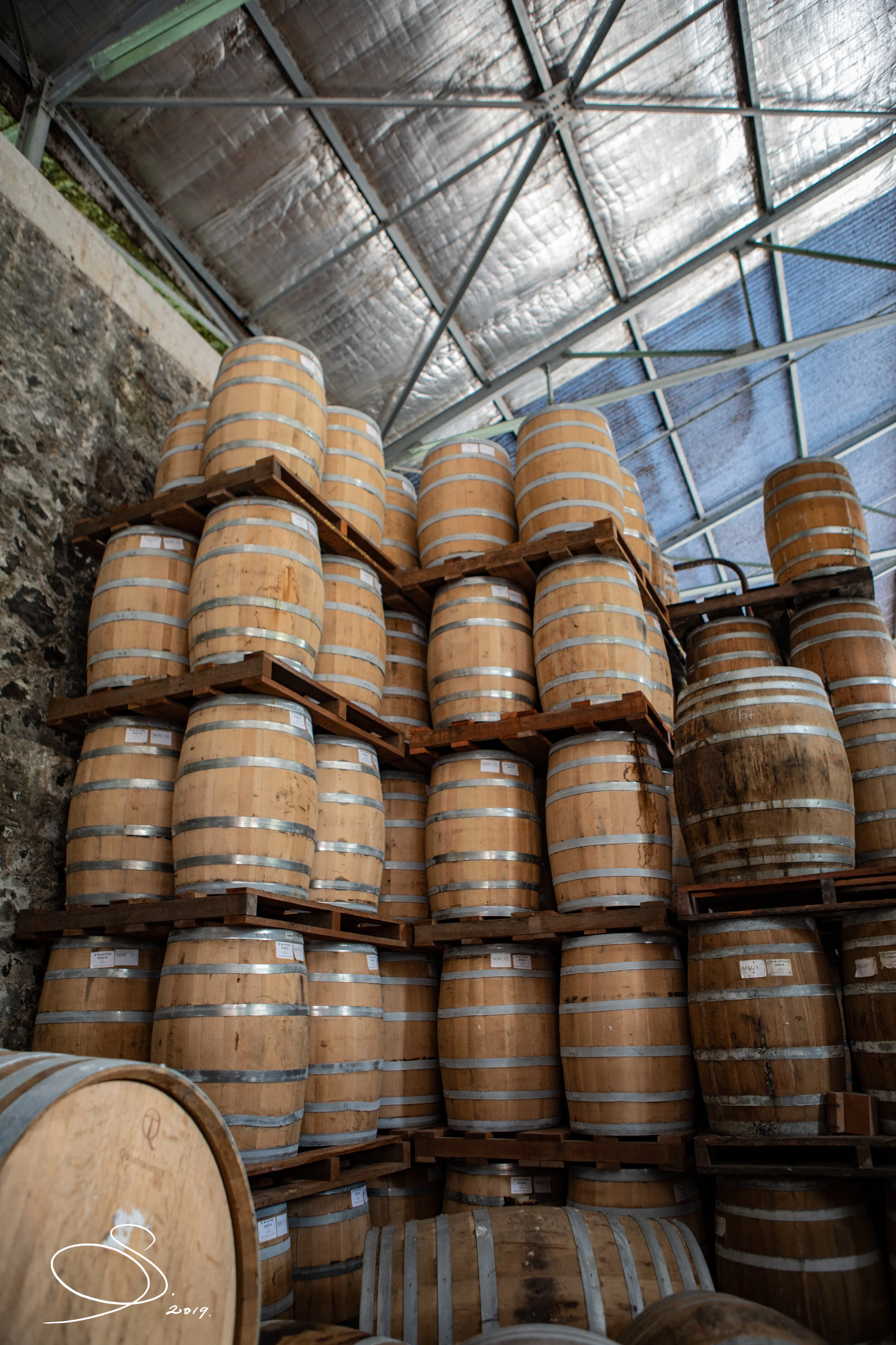 HSE2019 (17 of 24) - Copy.jpg