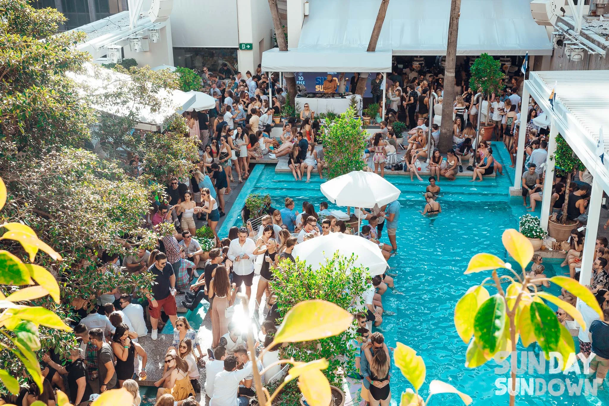 IVY POOLCLUB.