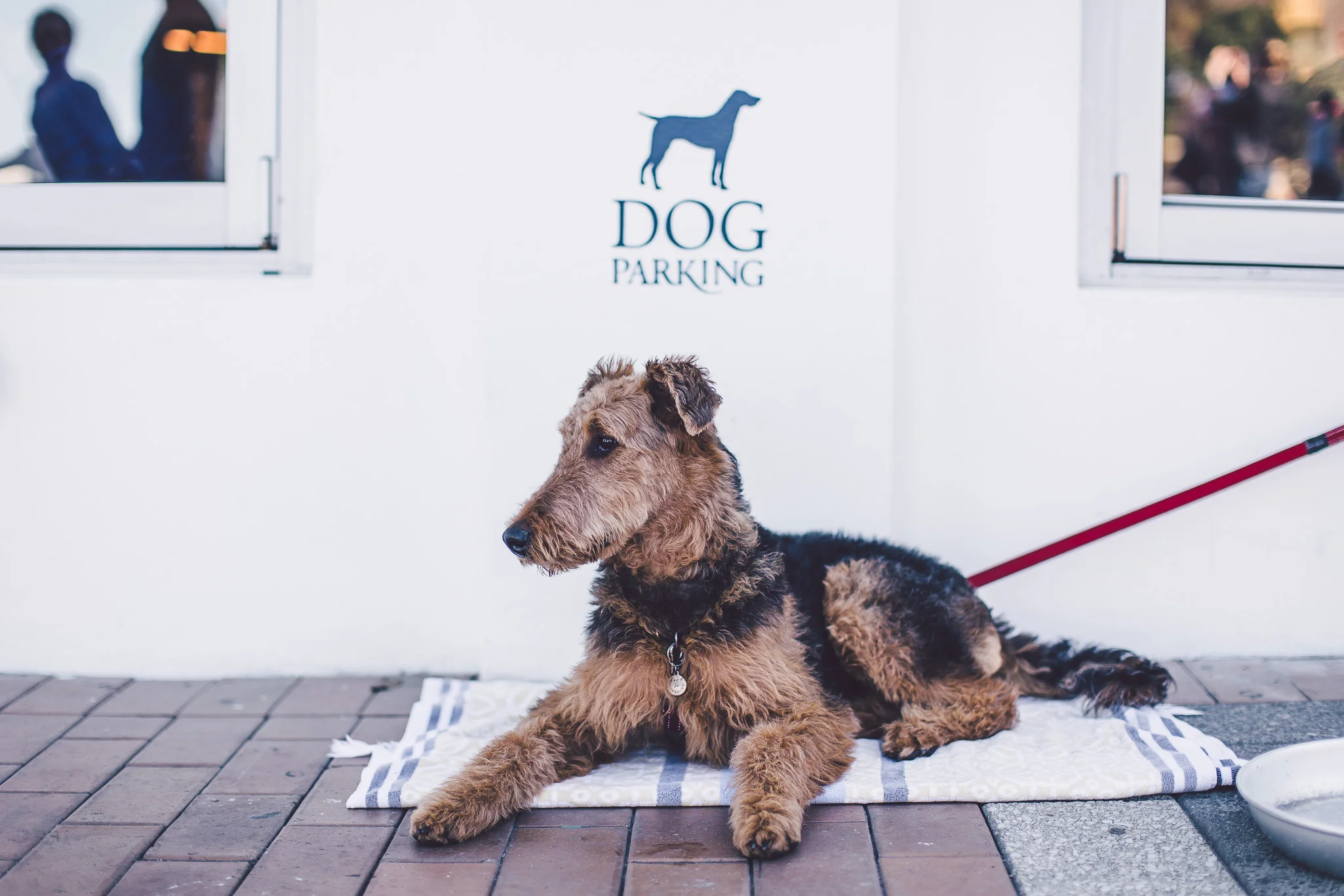 EXTERIOR SIGNAGE. Even your beloved 4-legged furry friends are welcome at Coogee Pavilion. FREE dog parking.