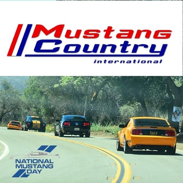 Happy National Mustang Day!