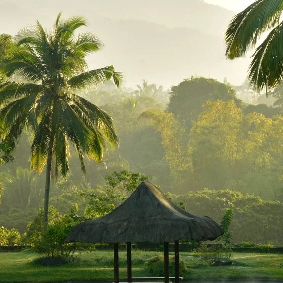 thefarm san benito phillipines.jpg