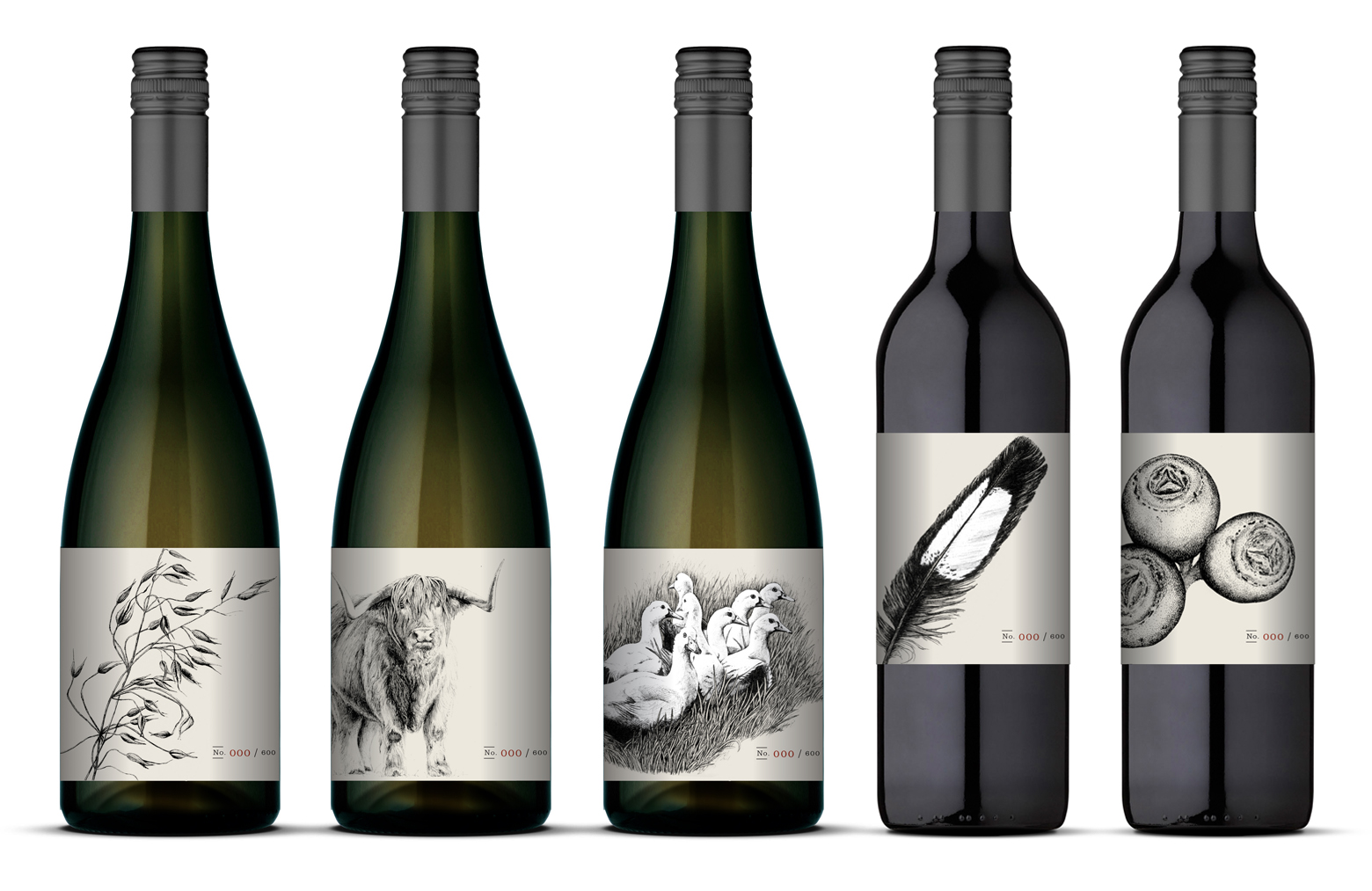 5 X BOTTLES_ ROW.jpg