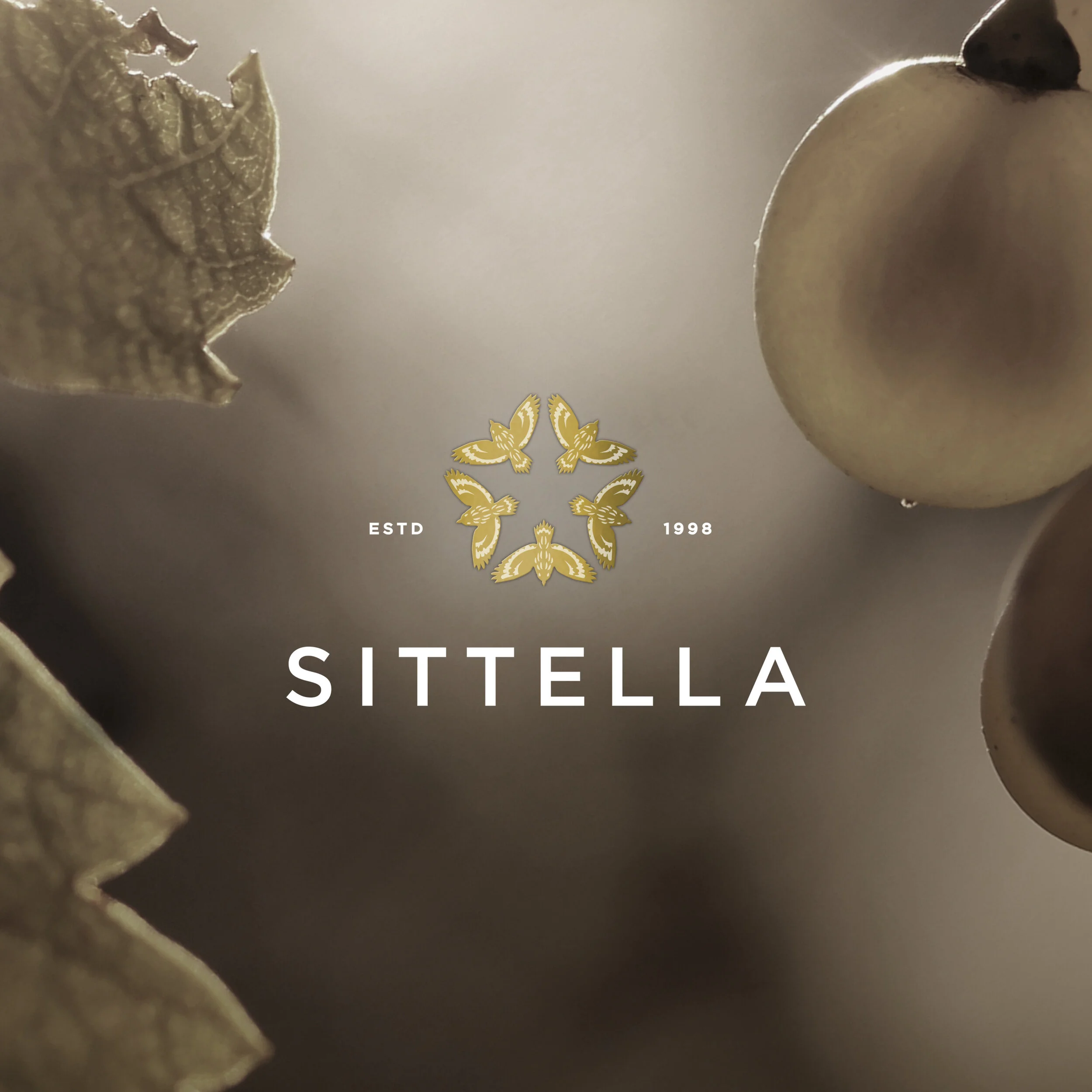 sittella_2.jpg