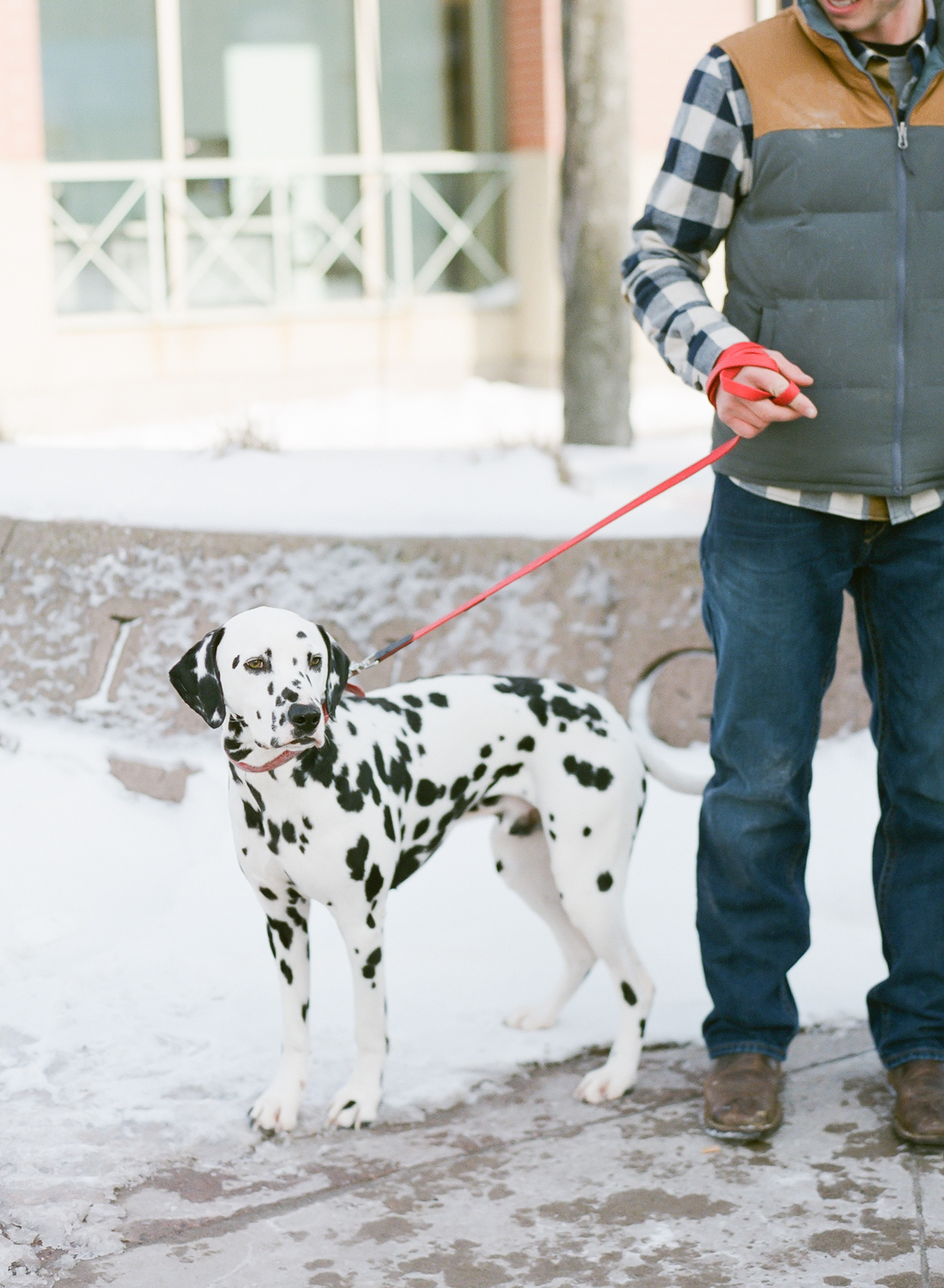  Halifax Wedding Photographer, winter engagement session, Truro Nova Scotia, Canadian Engagement Session, Jacqueline Anne Photography, Dog in engagement session, Film Engagement Session 