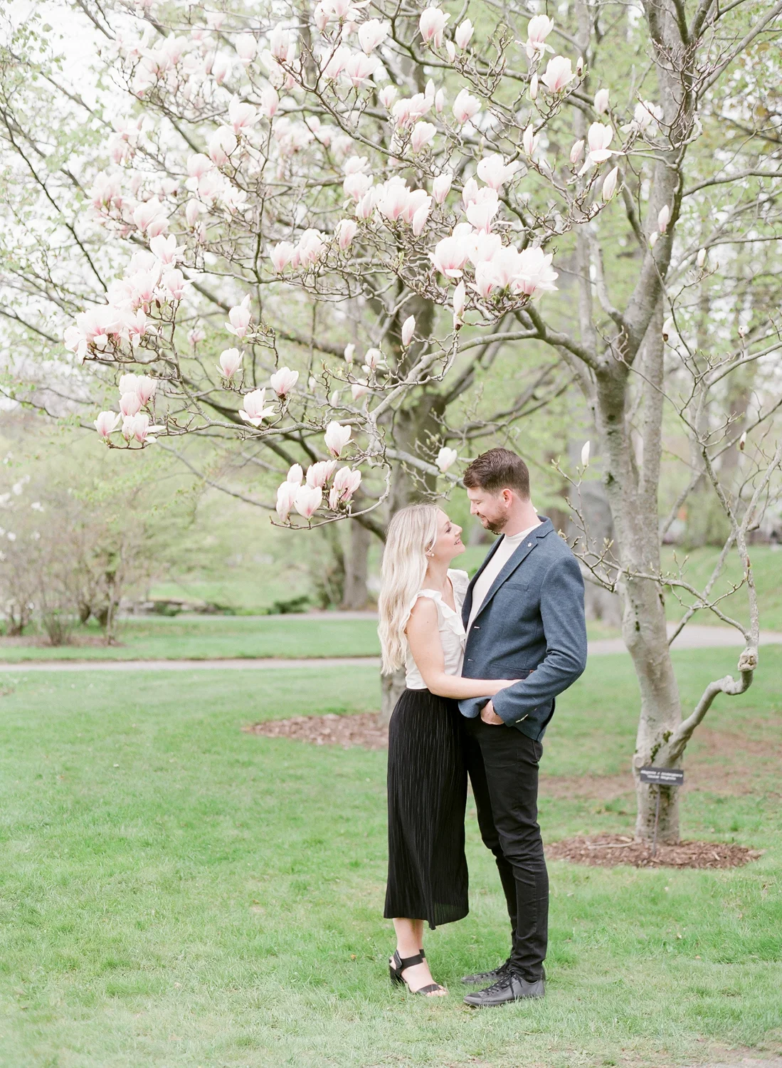 Halifax Anniversary Session, Nova Scotia, Halifax Public Gardens, The Flower Shop Halifax, Halifax Wedding Photographer, Naphtali Carleton Makeup, Magnolia Trees in Halifax