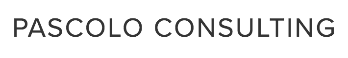 MSVB_OnlineConsulting_Project_PascoloConsulting_7.png