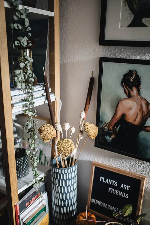 Plantstory+Igor+Josif_1.jpg