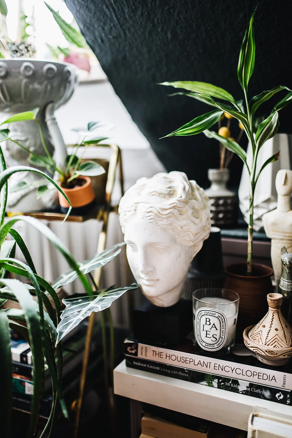 Plantstory+Igor+Josif_3.jpg