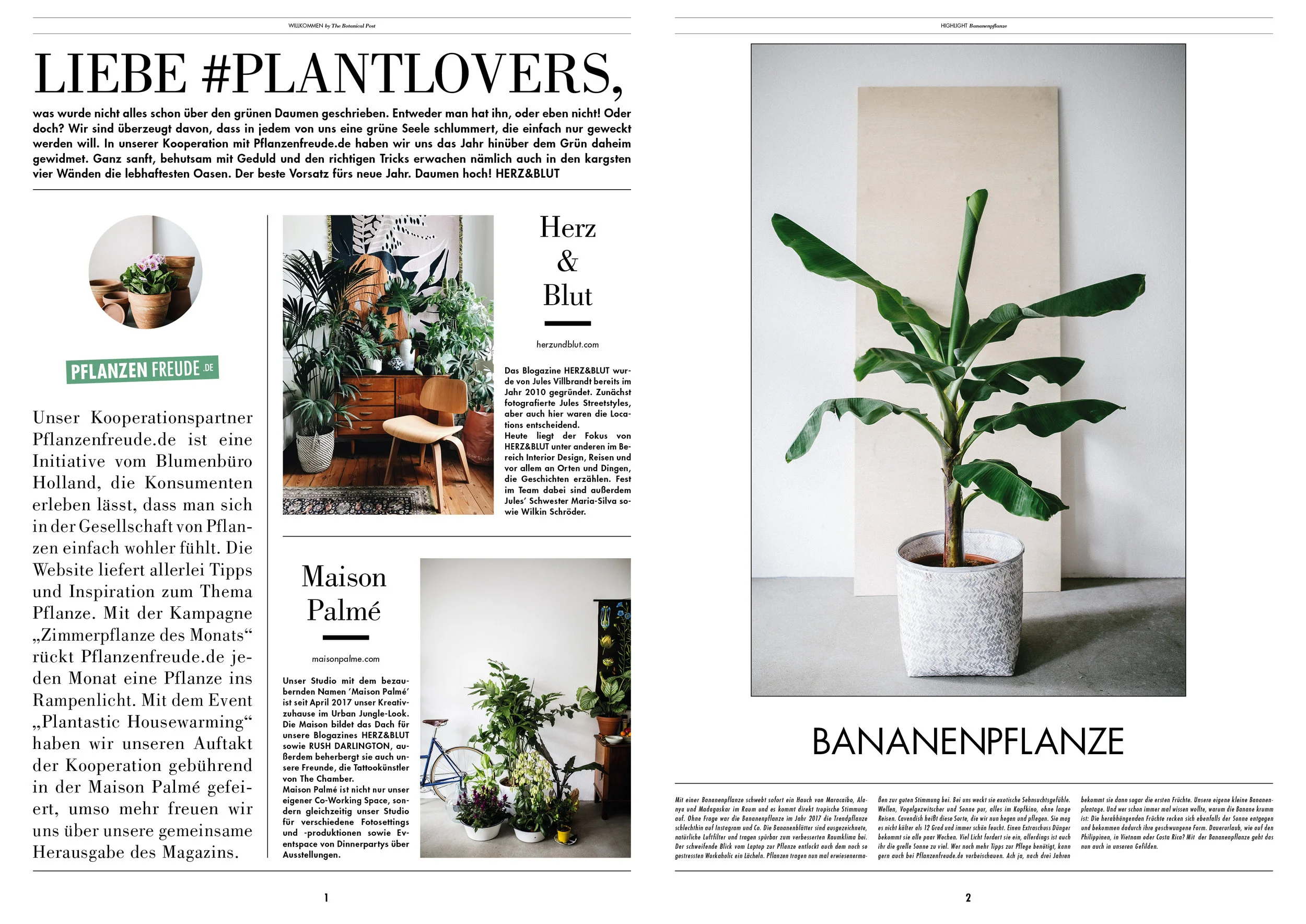 The Botanical Post2.jpg
