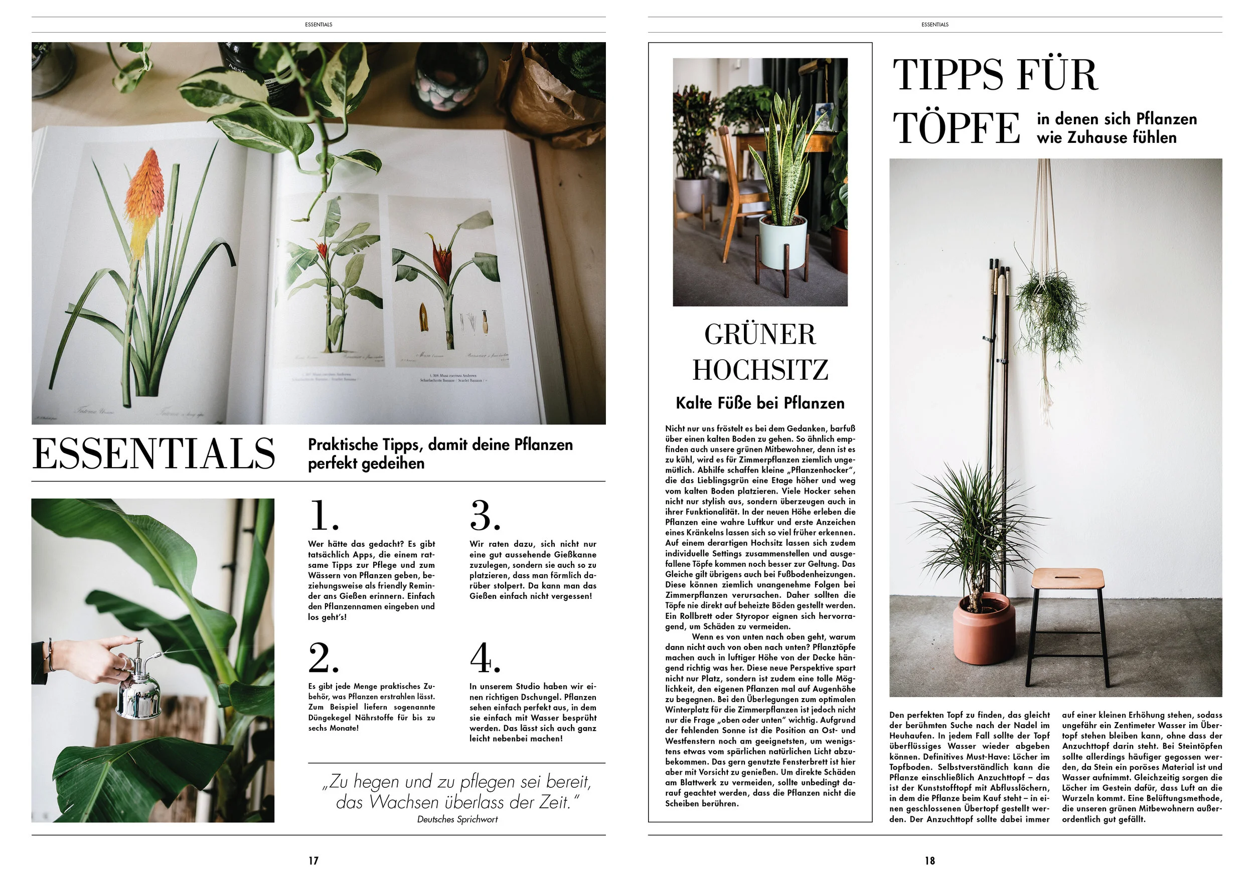 The Botanical Post10.jpg