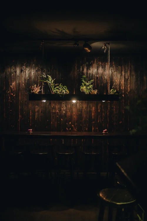 4Basalt+Bar+-+Berlin+Wedding.+A+Botanical+Bar.+Interview.+herzundblut.com.jpg