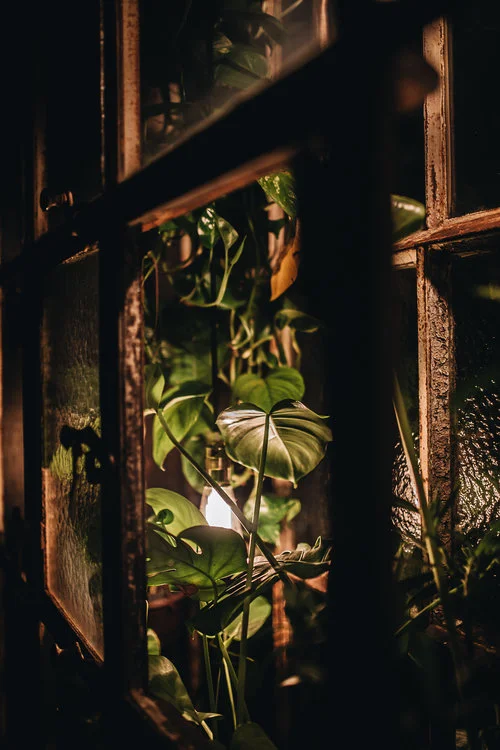 6Basalt+Bar+-+Berlin+Wedding.+A+Botanical+Bar.+Interview.+herzundblut.com.jpg