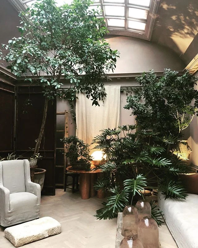 A must see in Copenhagen @studioolivergustav #interiordesign #studioolivergustav #copenhagen #designinspiration #plantstyle #botanicalgardens #thebotanicalpost #danishdesign #scandinaviandesign #global_creatives #travel #rushdarlington