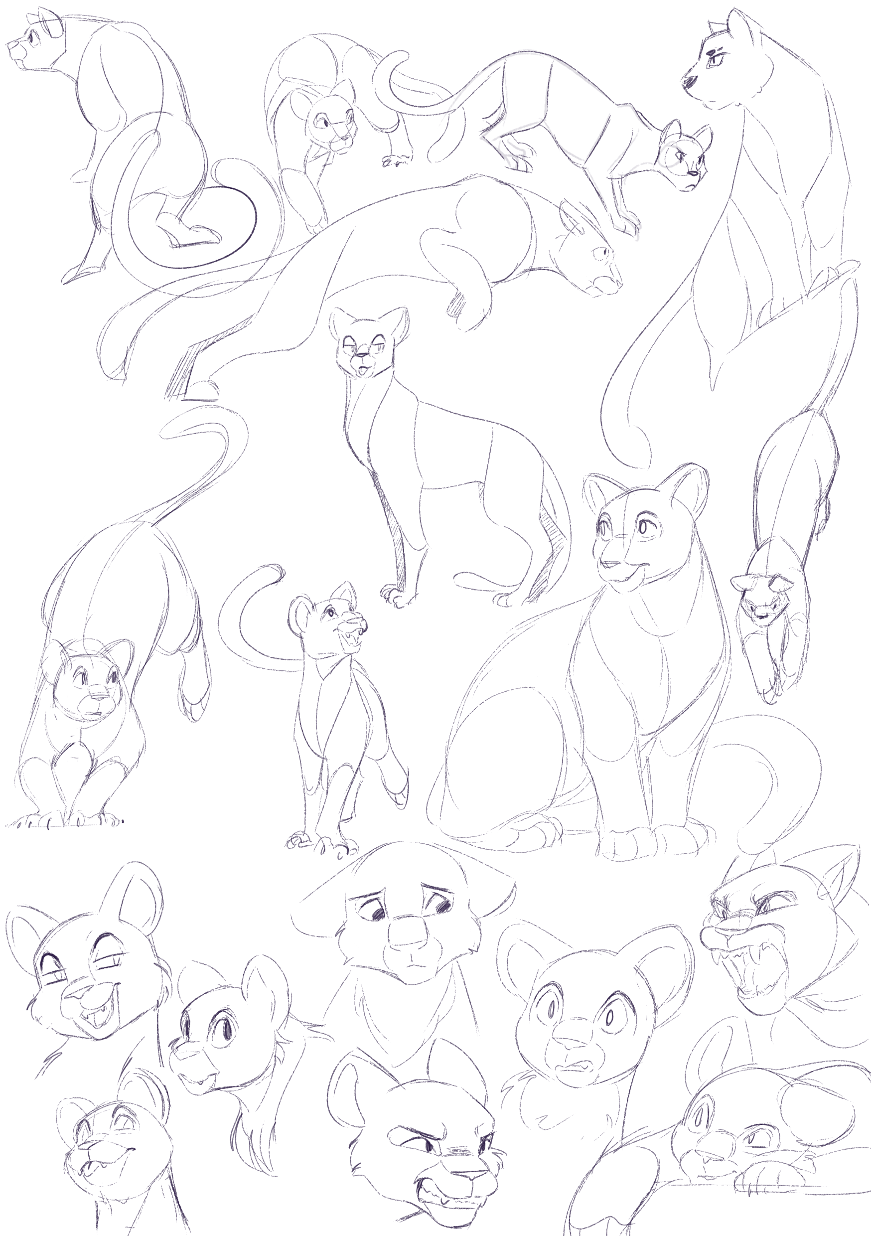 Big_cat_sketchpage.png