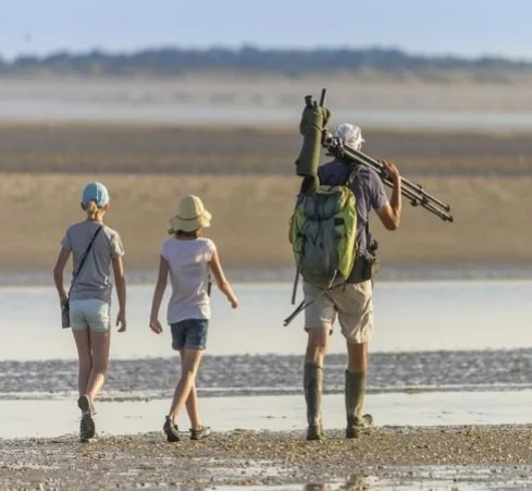baie_de_somme_rando_nature_enfantscstephane_bouilland_9.jpg