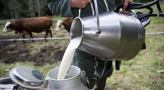 Lait frais fermier offert

Quoi de plus traditionnel que du lait frais de la ferme pour commencer votre journ&eacute;e ? Nos &eacute;tablissements &laquo; Un &Eacute;pi Vert &raquo; &eacute;tant situ&eacute;s &agrave; proximit&eacute; d&rsquo;une exp