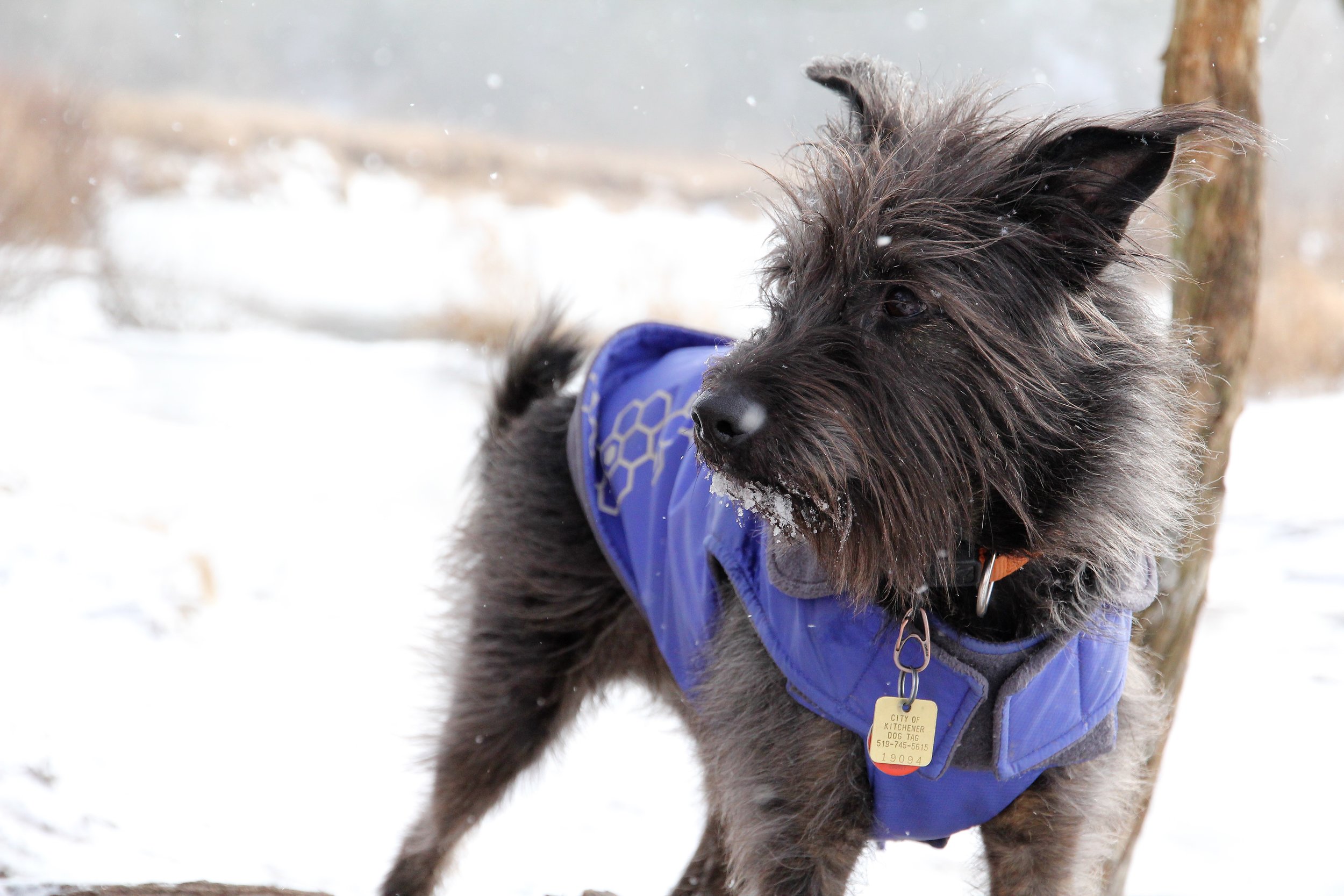 Neave - Part of my training team