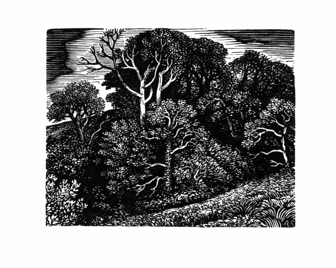 From Boxwood