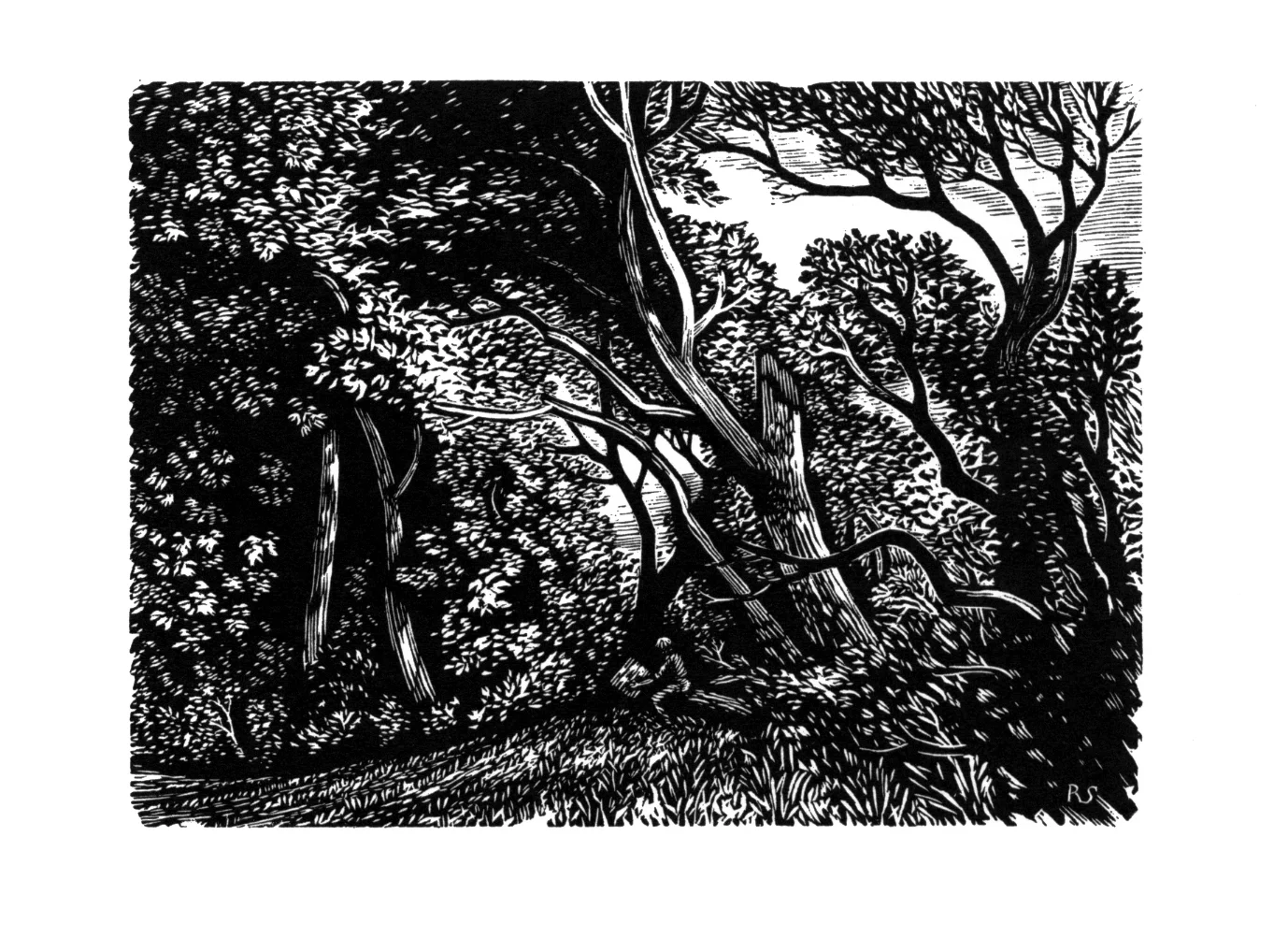 Artist Drawing at the edge of the Wood