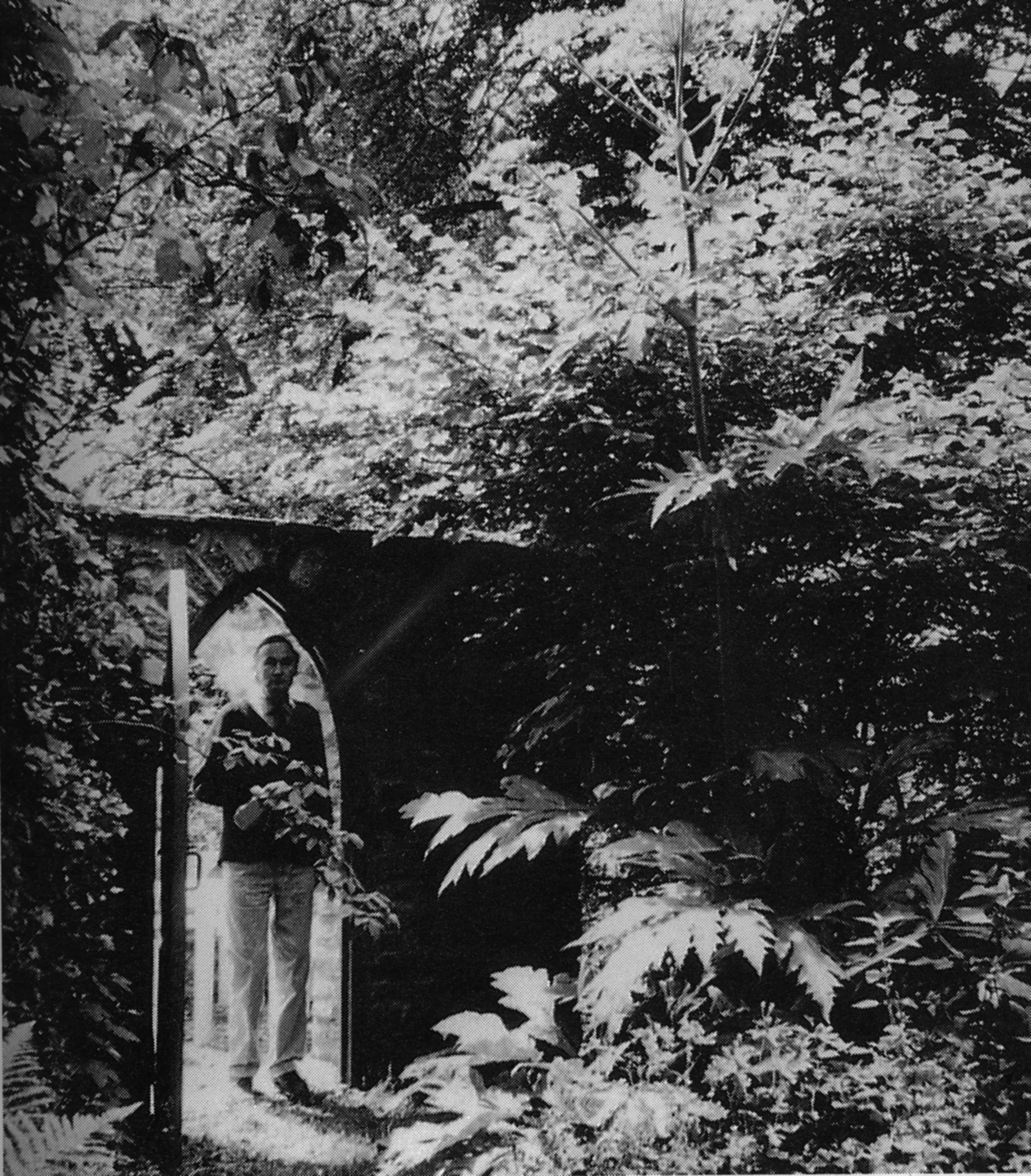 Reynolds at gate copy.jpg
