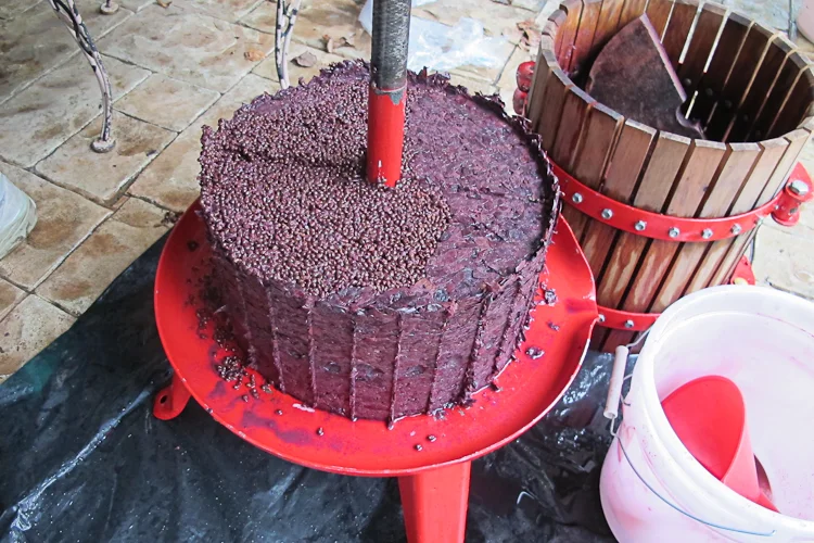 The beautiful, luscious cake. 