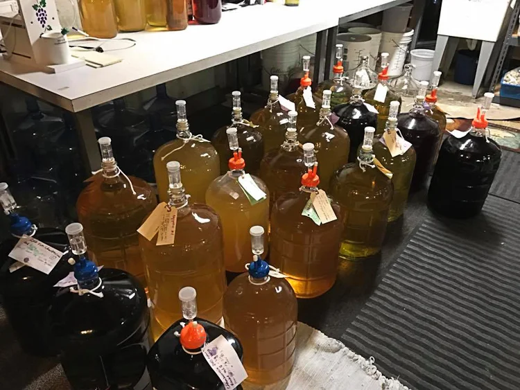 The final stages of winemaking. Waiting, waiting and waiting.