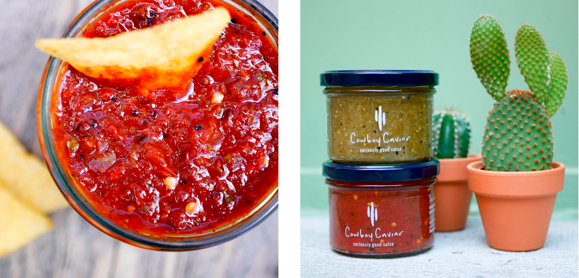 salsa+cactus.png