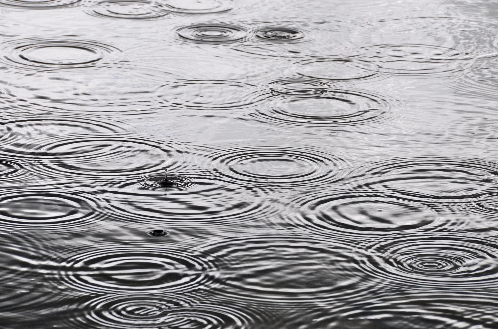 raindrops_on_the_water_surface_by_macinivnw-d68my5j.jpg