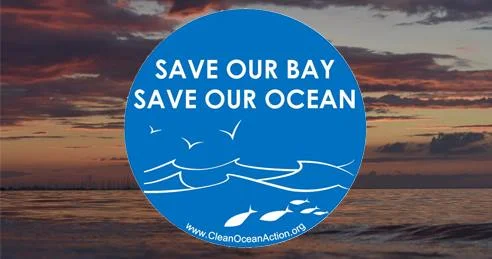 saveOURbay.jpg