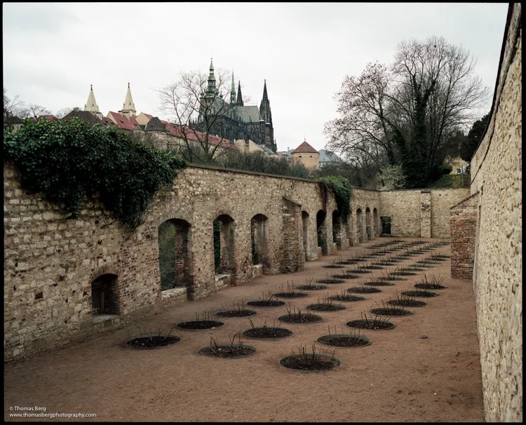 Prague 2015 (64 of 68).jpg
