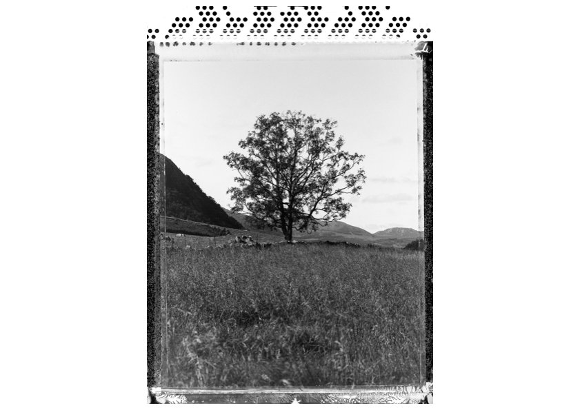 VII" Polaroid Type 55 Negative — Thomas Berg