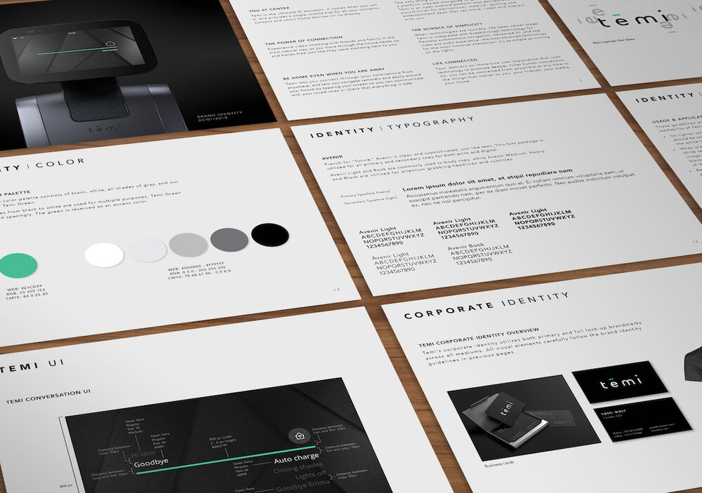 (above) Temi- The Personal Robot