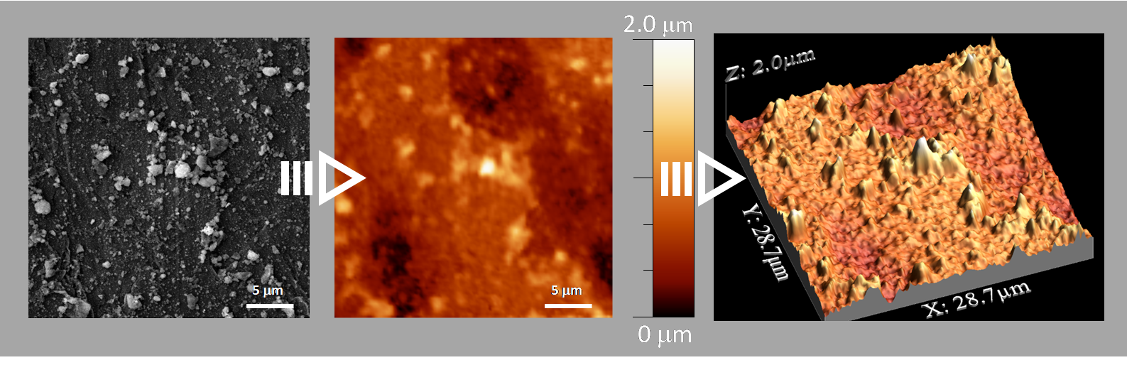 TopoSEM_SEM_AFM.png