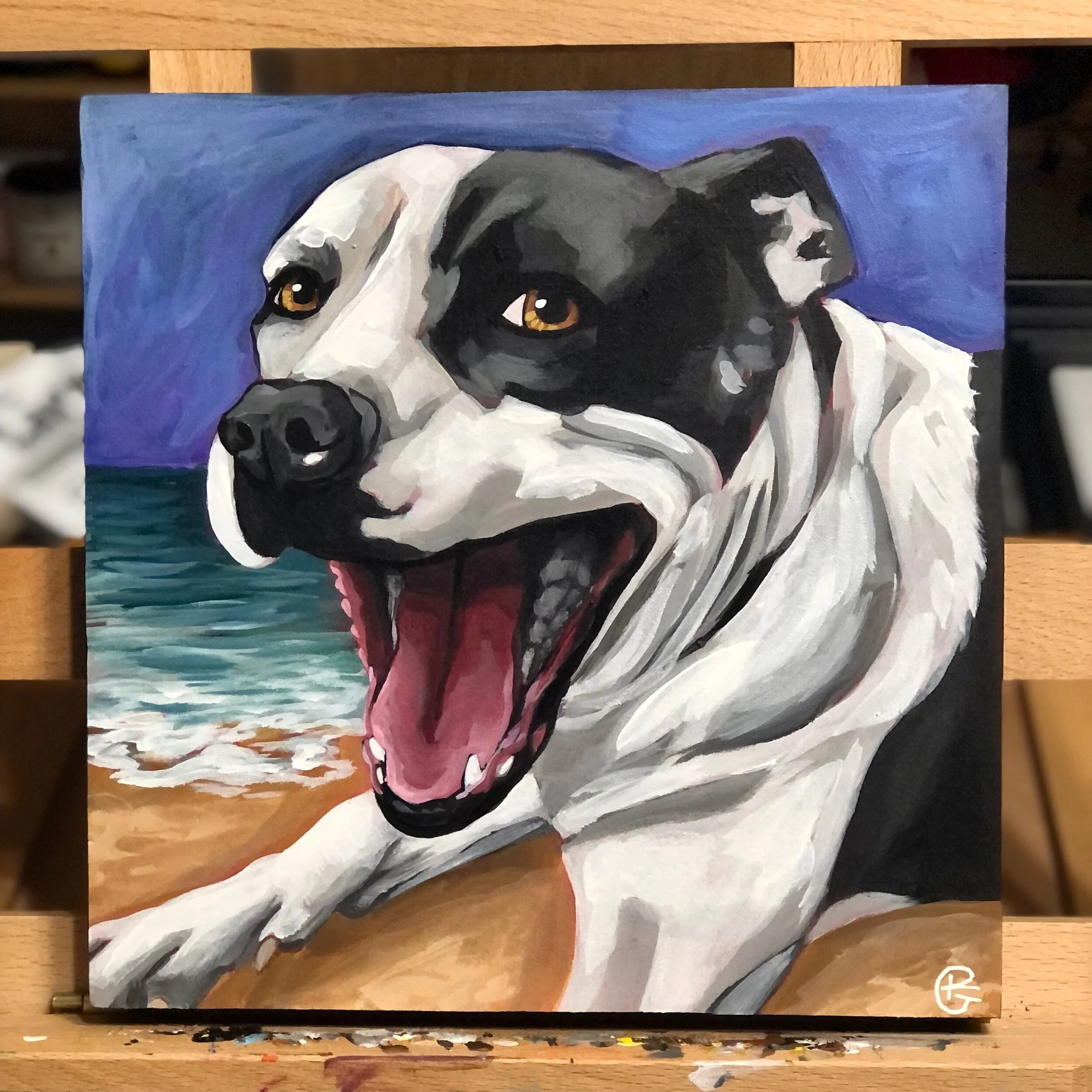 258D7610-12E3-4E74-807C-6E5CC5F29381