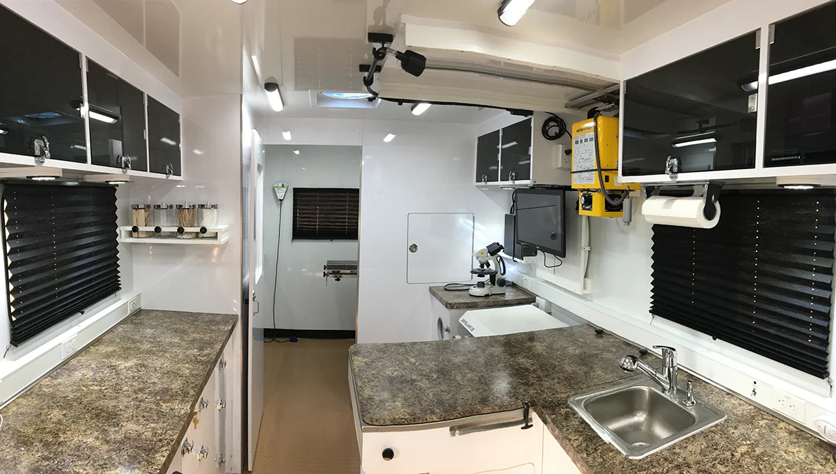 inside truck 1200 w.jpg