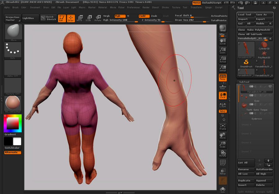 Female_Anatomy_01.jpg