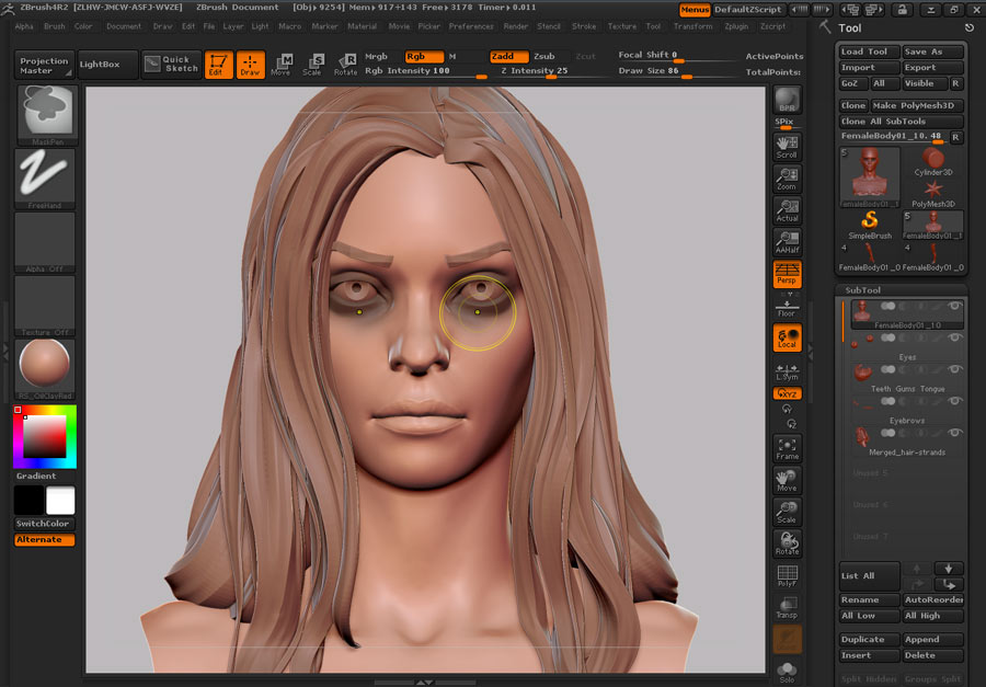 Female_Anatomy_06.jpg