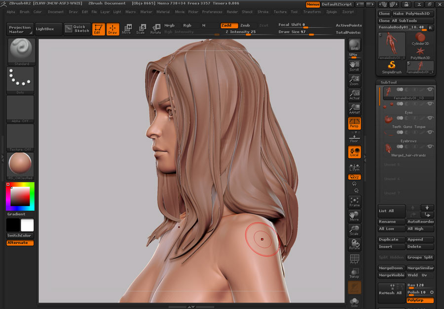 Female_Anatomy_07.jpg